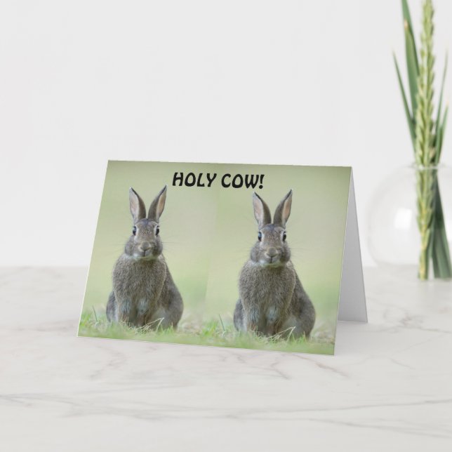 CARTE **FÉLICITATION À L'ENSEIGNEMENT SUPÉRIEUR** (Devant)