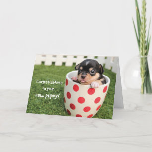 Carte Félicitations à New Puppy, Adoption Chihuahua