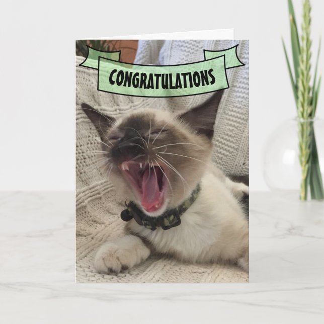 Carte Félicitations à tous de crier Siamese Kitten Photo (Devant)