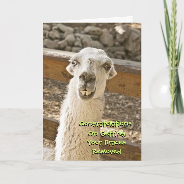 Carte Félicitations Braces Off Llama Card (Devant)