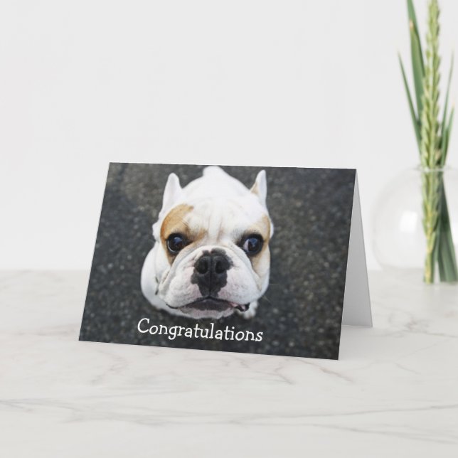 Carte Félicitations Bulldog Greeting Card (Devant)