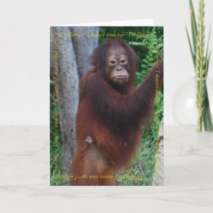 Carte Félicitations et voeux