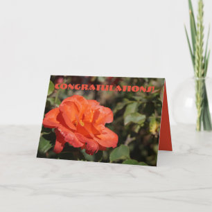 Carte Félicitations Florales Peachy