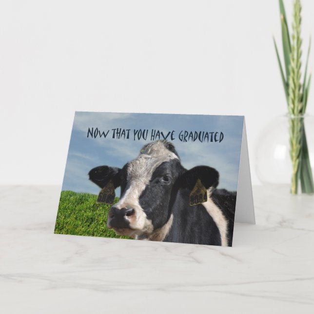 Carte Félicitations humoristiques à la vache bovine dipl (Devant)