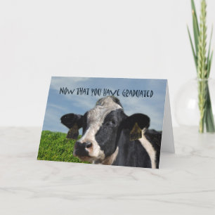Carte Félicitations humoristiques pour la bovine de vach