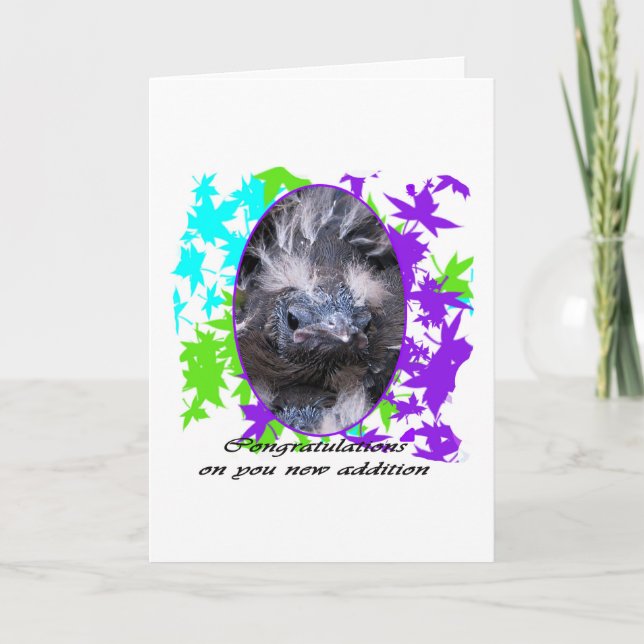 Carte Félicitations pour bébé : Félicitations bébé (Devant)