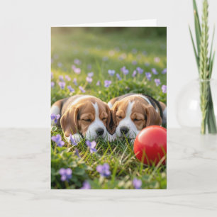 Carte Félicitations pour Deux Nouveaux Chiots Beagles de