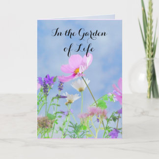 Carte Félicitations pour votre divorce