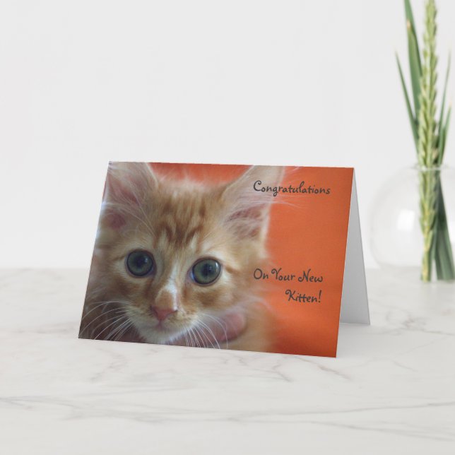 Carte Félicitations pour votre New Kitten (Devant)