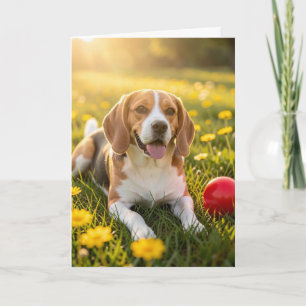 Carte Félicitations pour votre nouveau Beagle