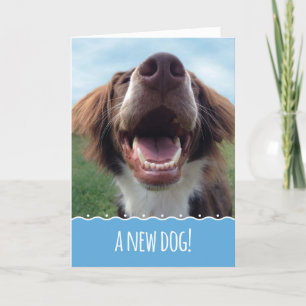 Carte Félicitations pour votre nouveau chien, Happy Pup
