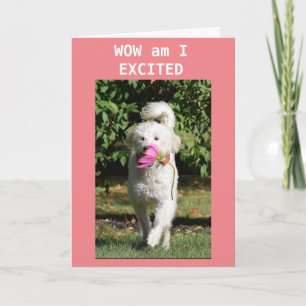 CARTE FÉLICITATIONS POUR VOTRE **NOUVELLE MAISON**