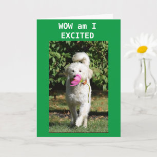 CARTE FÉLICITATIONS POUR VOTRE **PROMOTION**