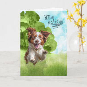 Carte Félicitations reBARKable Brittany Spaniel Chien