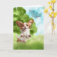 Félicitations reBARKable Cavalier King Charles