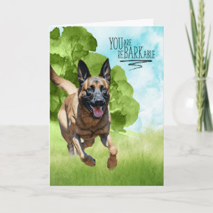 Carte Félicitations reBARKable Chien Malinois Belge