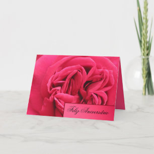 Carte : Feliz Aniversário - rose de rose