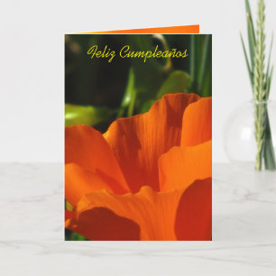 Carte Feliz Cumpleaños