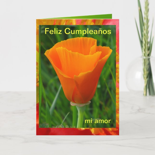 Carte - Feliz Cumpleaños, amor de MI (Devant)