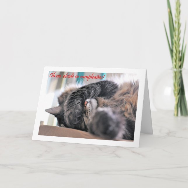 Carte Feliz Cumpleaños espagnol Anniversaire avec chaton (Devant)