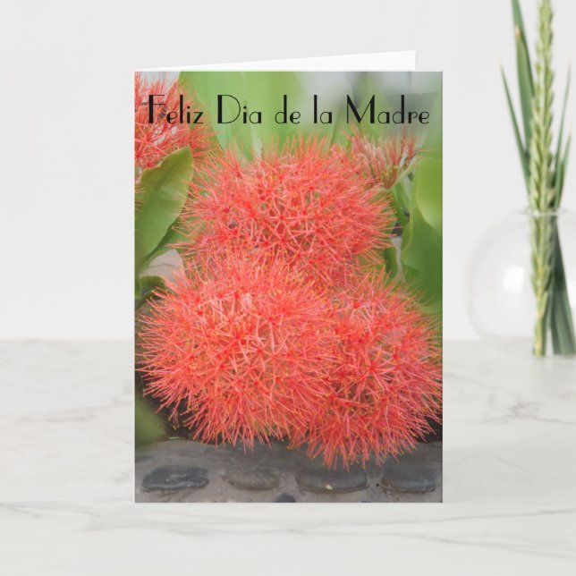 Carte Feliz Dia de la Madre 18 (Devant)