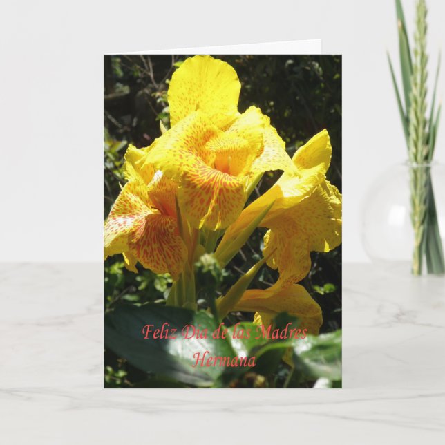 Carte Feliz dia de las madres Hermana (Devant)
