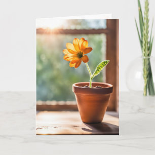 Carte Fenêtre Avec Orange Daisy Penser De Vous