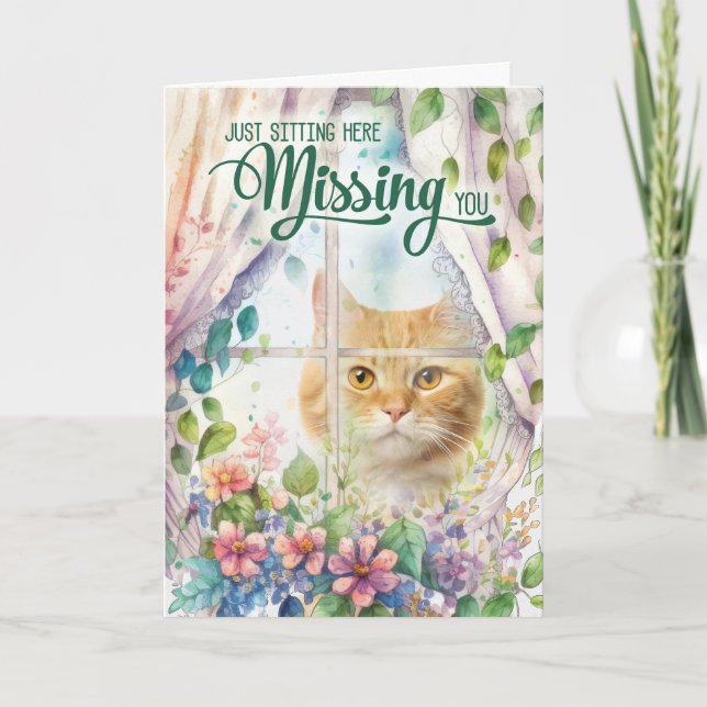 Carte Fenêtre Jardin Amoureux des chats Vous Manquant (Devant)