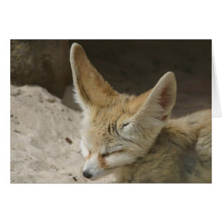 Carte Fennec Fox