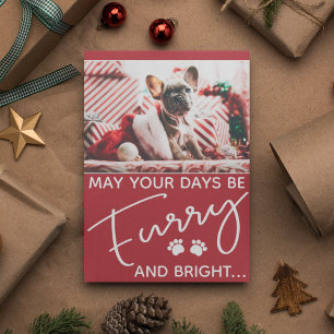 Carte Fer et chien brillant photo Noël