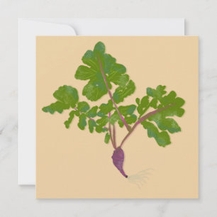 Carte Ferme Radis Navets Plantes Jardinage