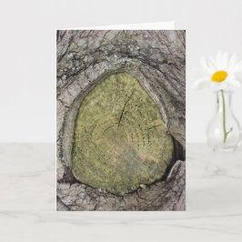 Carte Fermer le talon de branche de l'arbre