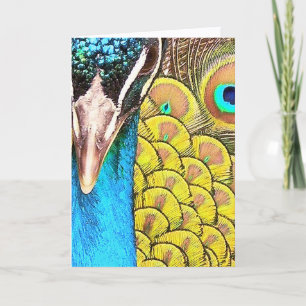 Carte Fermer Peacock couleurs Anniversaire