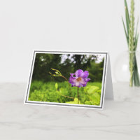 Fermeture de la photographie Éclairage vert de Cle