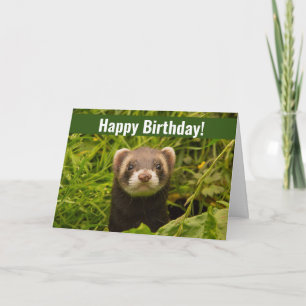 Carte Ferret Brown dans l'herbe Joyeux anniversaire