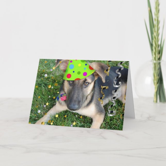 Carte Fête d'anniversaire animal berger allemand (Devant)
