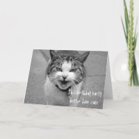 Fête d'anniversaire de chat en colère mieux avoir