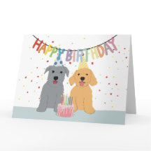 Fête d'anniversaire de deux chiens
