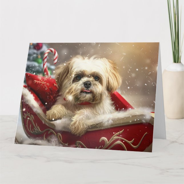 Carte Fête de Noël de Chien Malti Tzu (Devant)