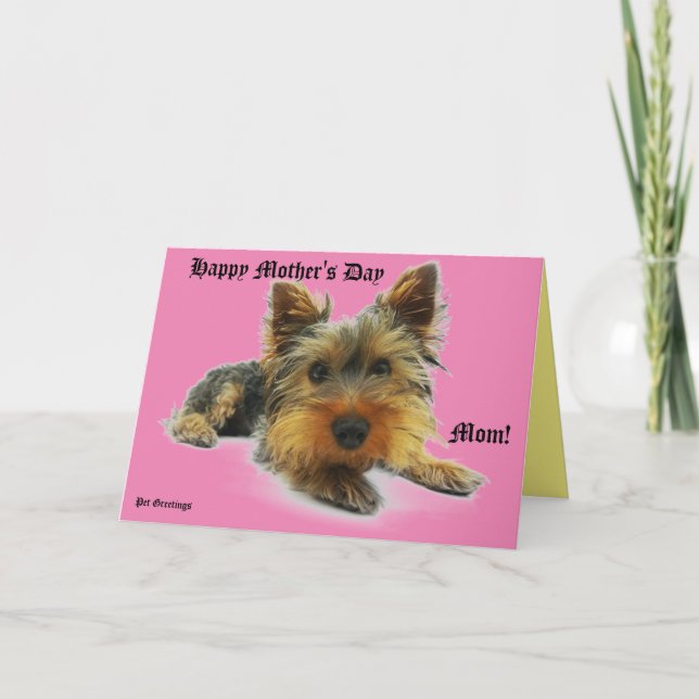 Carte Fête des mères Animaux de compagnie (Devant)