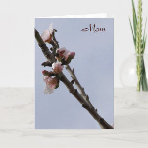 Carte Fête des Mères Blossom