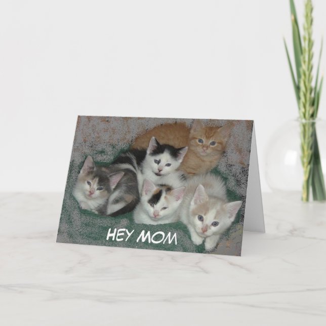 Carte Fête des mères chatons (Devant)