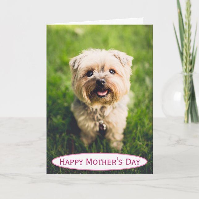Carte Fête des mères Chien Maman Meilleur au monde pour  (Devant)