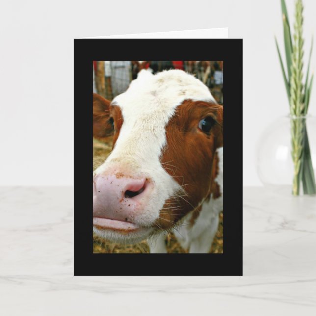Carte Fête des mères de la tante Cool âgée avec la vache (Devant)