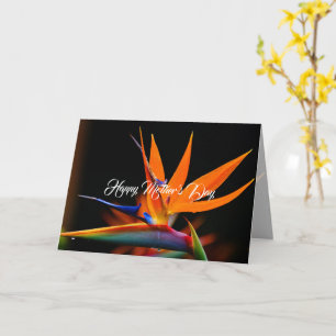 Carte Fête des mères de l'Oiseau du Paradis
