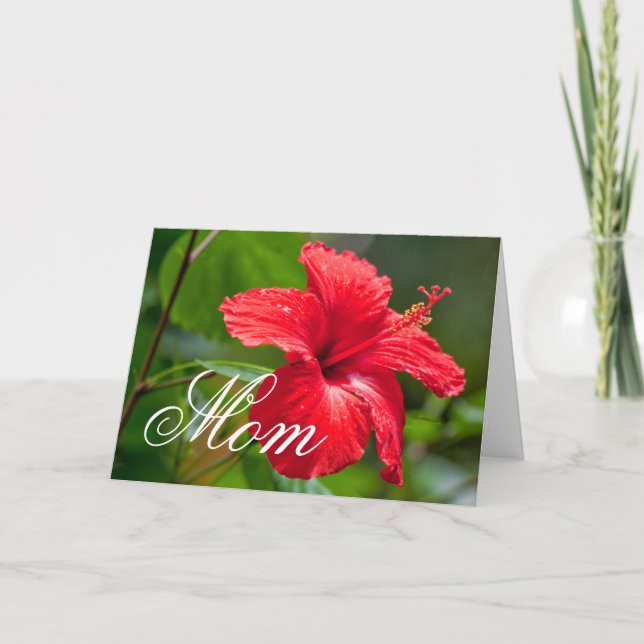 Carte Fête des mères Hibiscus rouge Fleur tropicale Flor (Devant)