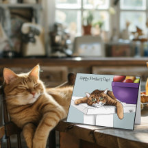 Fête des mères Ornage Tabby Cat