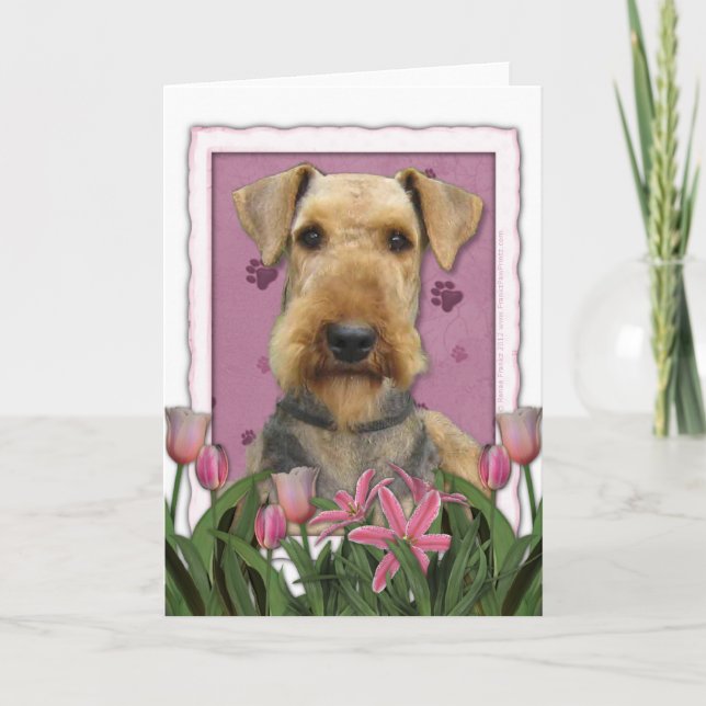 Carte Fête des mères - Tulipes roses - Airedale (Devant)