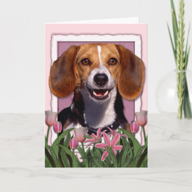 Carte Fête des mères - Tulipes roses - Beagle (Devant)