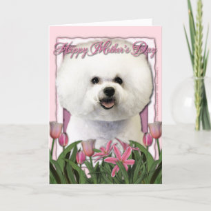 Carte Fête des mères - Tulipes roses - Bichon Frise
